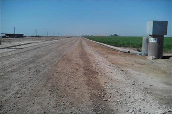 نیشکر دانیال