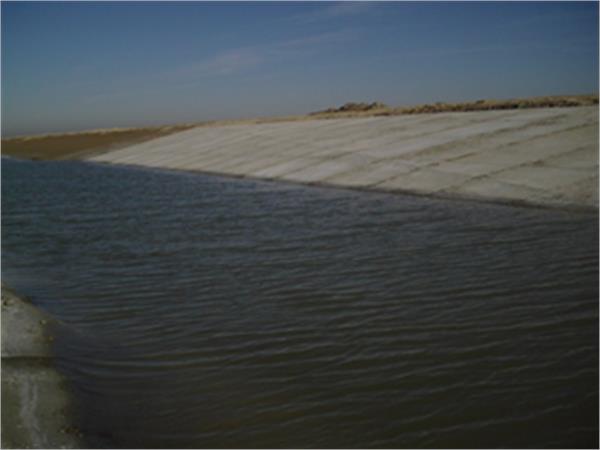 کاکیو خرمشهر