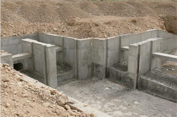 دشت لاغر - ج -  20