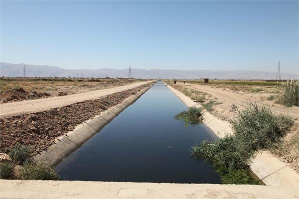 خلجوی -  ج -  8