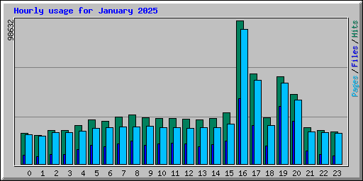 Hourly usage for January 2025