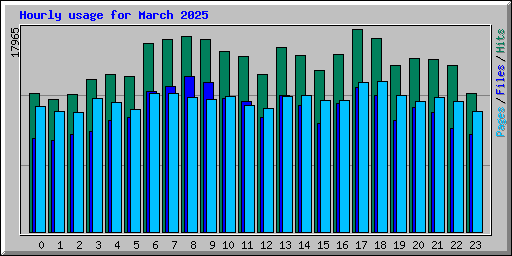 Hourly usage for March 2025