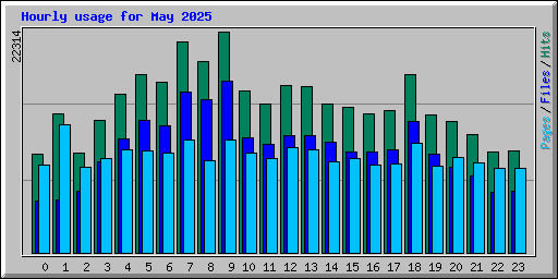Hourly usage for May 2025