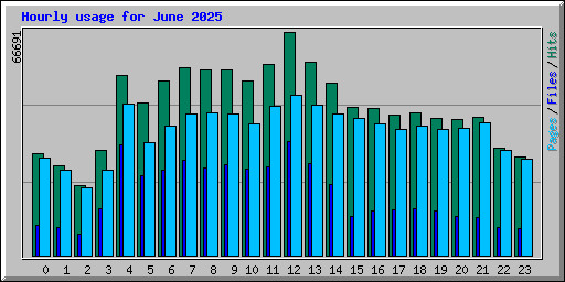 Hourly usage for June 2025