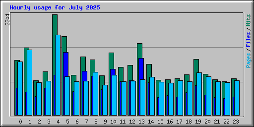 Hourly usage for July 2025