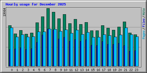 Hourly usage for December 2025
