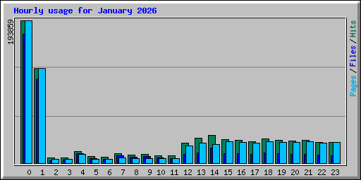 Hourly usage for January 2026