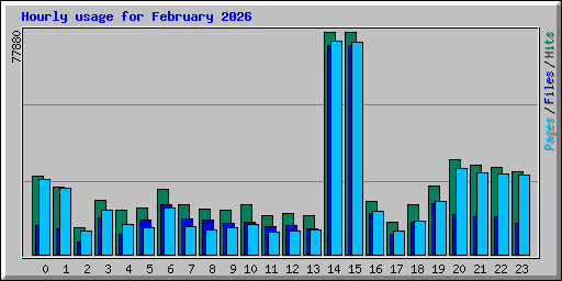 Hourly usage for February 2026